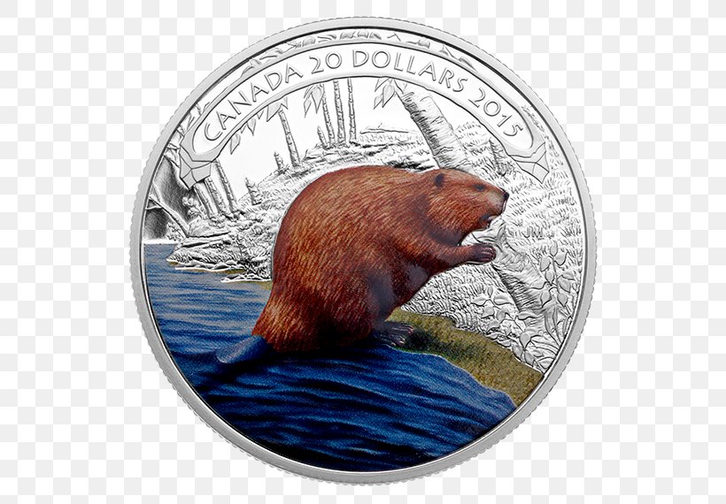 Beaver Silver Coin Silver Coin Bullion, PNG, 570x570px, Beaver, Bullion, Bullion Coin, Coin, Collectable Download Free