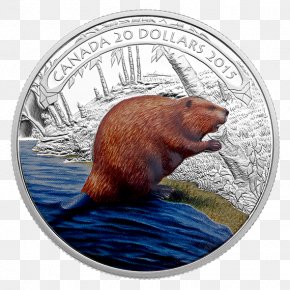 Beaver - Beaver Silver Coin Silver Coin Bullion PNG