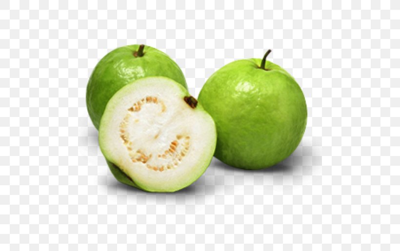 Common Guava Tropical Fruit Juice Vesicles, PNG, 500x515px, Guava, Apple, Banana, Citrus, Common Guava Download Free