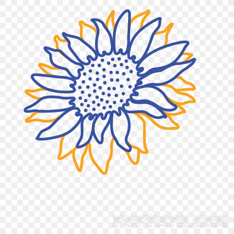 Common Sunflower Drawing Cut Flowers Clip Art, PNG, 1000x1000px, Common Sunflower, Artwork, Chrysanthemum, Chrysanths, Cut Flowers Download Free