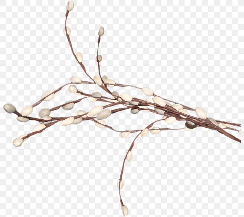 Digital Image Weeping Willow Tree Clip Art, PNG, 800x727px, Digital Image, Branch, Easter, Information, Palm Sunday Download Free
