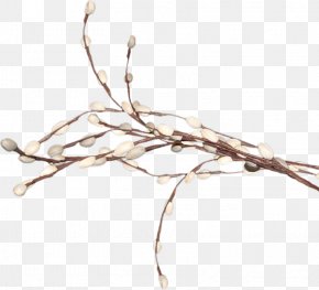 Willow Tree - Digital Image Weeping Willow Tree Clip Art PNG