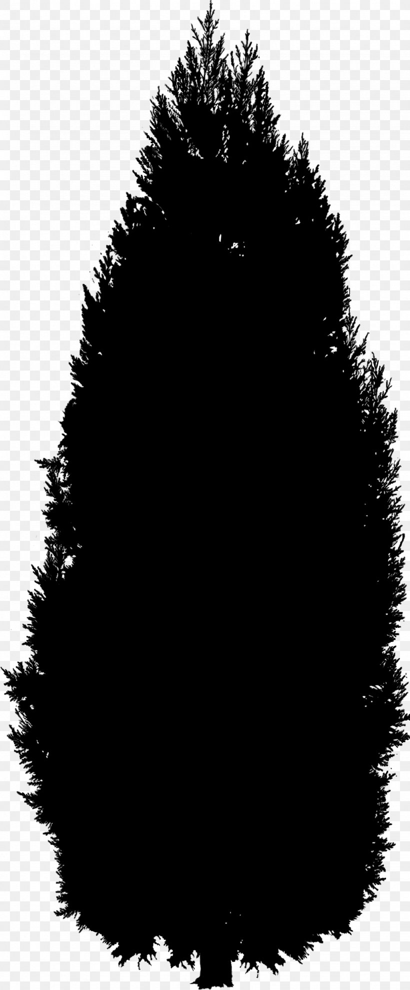 Fur Silhouette Black M, PNG, 1024x2469px, Fur, Black, Black M, Blackandwhite, Conifer Download Free