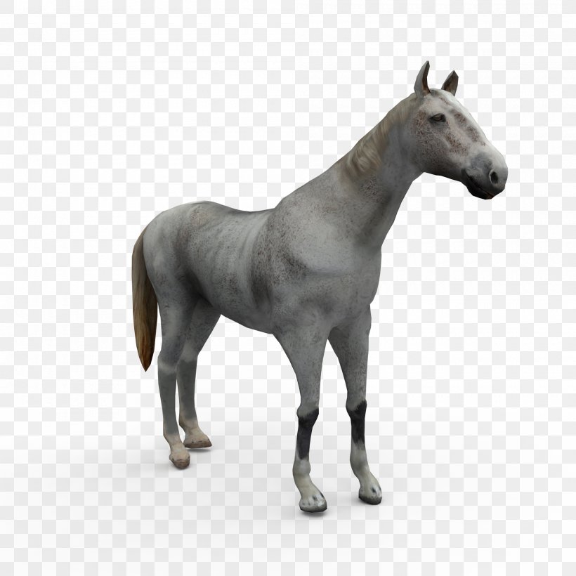 Mule Horse Stallion Pony Mare, PNG, 2000x2000px, 3d Computer Graphics, 3d Modeling, Mule, Animal Figure, Autodesk 3ds Max Download Free