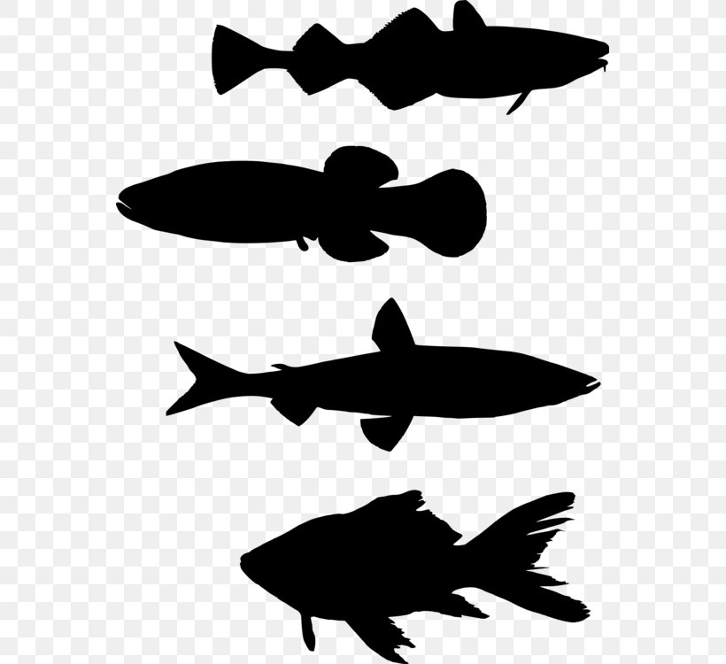 Clip Art Shoaling And Schooling Silhouette Fish, PNG, 557x750px, Shoaling And Schooling, Art, Drawing, Fish, Photography Download Free