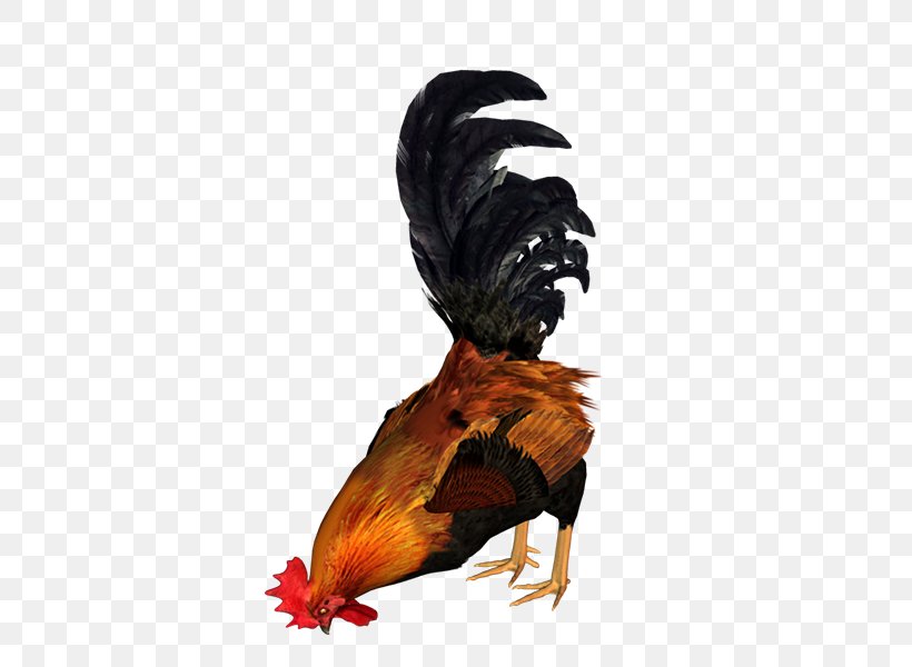 Rooster Chicken Drawing Paper Clip Art, PNG, 600x600px, Rooster, Animal, Beak, Bird, Chicken Download Free