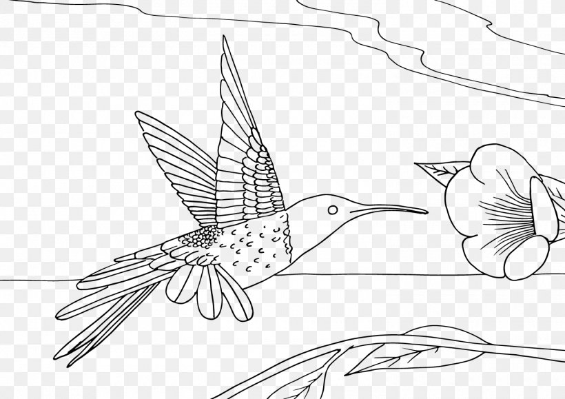 Hummingbird Coloring Book Drawing Line Art, PNG, 1500x1060px, Hummingbird, Art, Artwork, Ausmalbild, Beak Download Free
