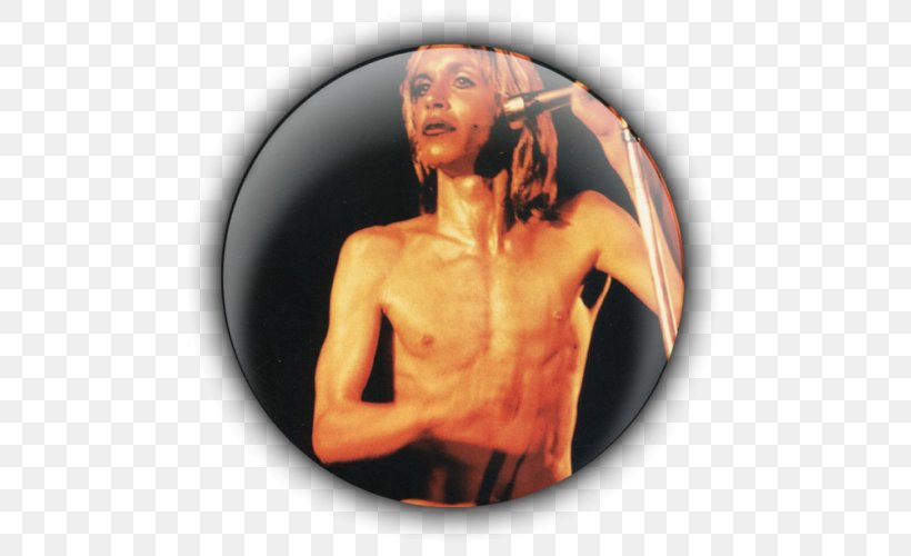 Iggy Pop The Stooges Raw Power Kill City LP Record, PNG, 500x500px, Watercolor, Cartoon, Flower, Frame, Heart Download Free