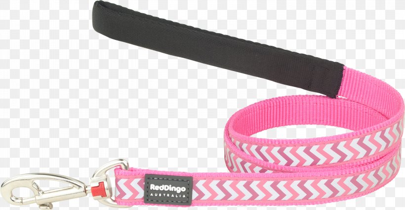 Leash Chihuahua Dingo Dog Collar, PNG, 3000x1562px, Leash, Chihuahua, Collar, Dingo, Dog Download Free