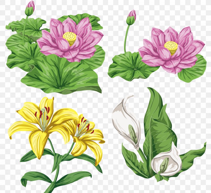Lilium Flower, PNG, 2400x2200px, Lilium, Alstroemeriaceae, Annual Plant, Artwork, Calla Lily Download Free