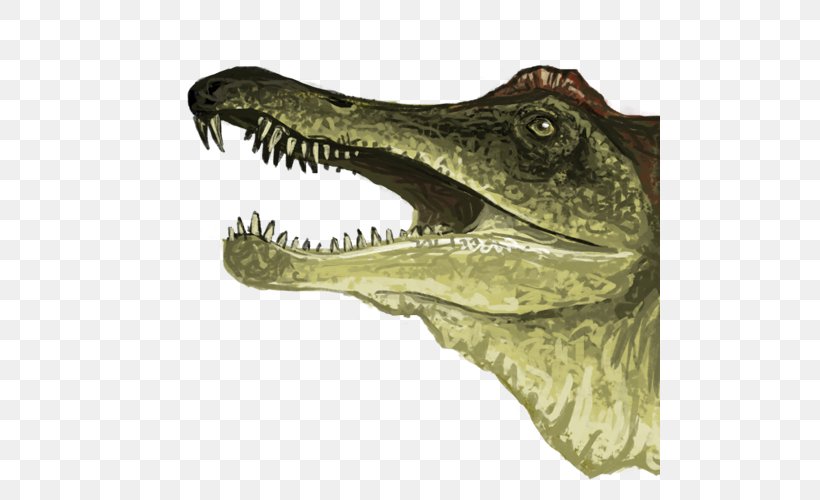 Nile Crocodile Alligator Velociraptor Tyrannosaurus, PNG, 500x500px, Nile Crocodile, Alligator, Animal, Crocodile, Crocodilia Download Free