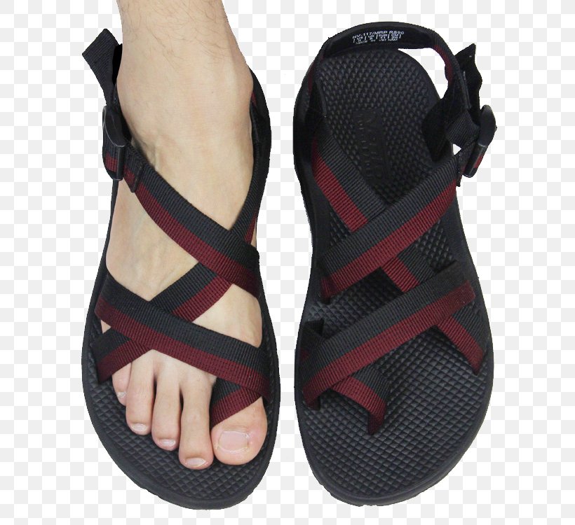 Slipper Sandal Shoe Flip-flops Boot, PNG, 750x750px, Sandal, Belt, Boot, Casual, Clothing Download Free