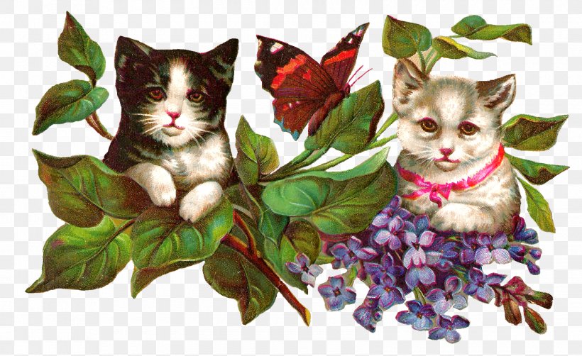 Cat Kitten Butterfly Clip Art, PNG, 1600x980px, Cat, Butterfly, Carnivoran, Cat Like Mammal, Cat Play And Toys Download Free