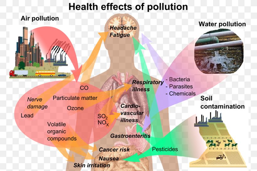 Health Effect Air Pollution Water Pollution, PNG, 768x545px, Health Effect, Acid Rain, Advertising, Air Pollution, Contamination Download Free