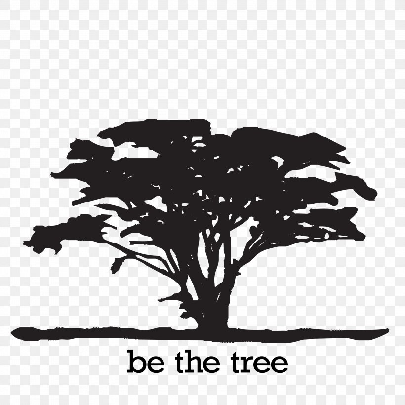 Logo Digital Safari Multimedia Academy Tree, PNG, 3000x3000px, Logo, Black And White, Branch, Brand, Drawing Download Free