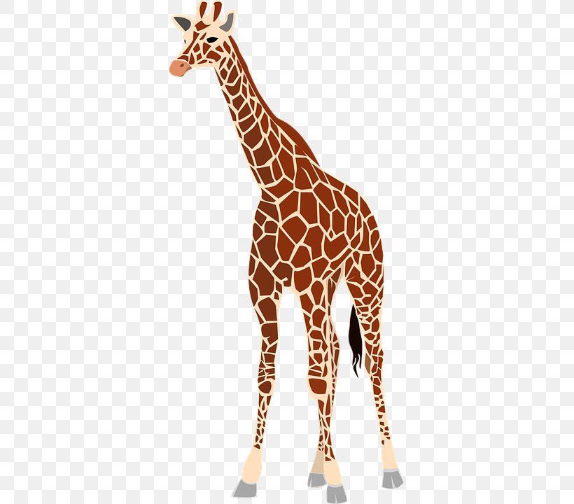 Baby Giraffes Drawing Clip Art, PNG, 360x720px, Giraffe, Animal Figure, Baby Giraffes, Drawing, Fauna Download Free