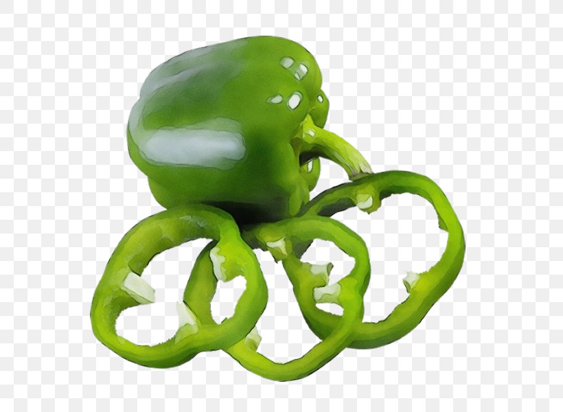 Bell Pepper Green Bell Peppers And Chili Peppers Green Bell Pepper Pimiento, PNG, 600x600px, Watercolor, Bell Pepper, Bell Peppers And Chili Peppers, Capsicum, Chili Pepper Download Free