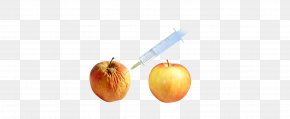 Vegetable - Desktop Wallpaper Vegetable Computer Fruit PNG