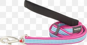 Pied Poule - Leash Dog Collar Dingo PNG