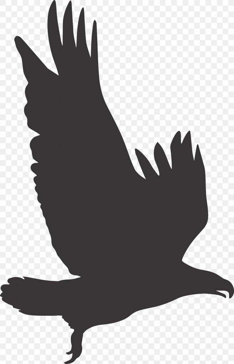 Vector Graphics Clip Art Bald Eagle Illustration, PNG, 1237x1920px, Eagle, Art, Bald Eagle, Beak, Bird Download Free
