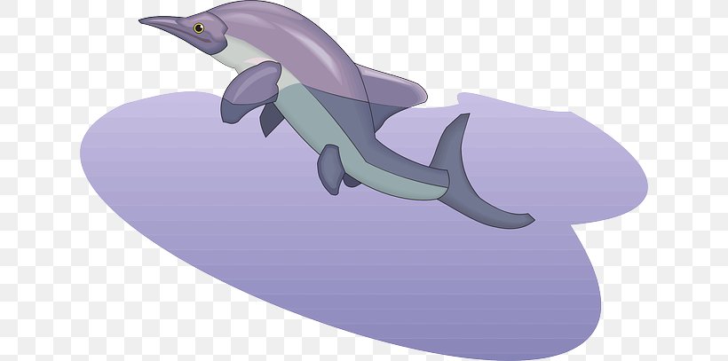 Common Bottlenose Dolphin Purple Clip Art, PNG, 640x407px, Common Bottlenose Dolphin, Dolphin, Fauna, Fin, Fish Download Free