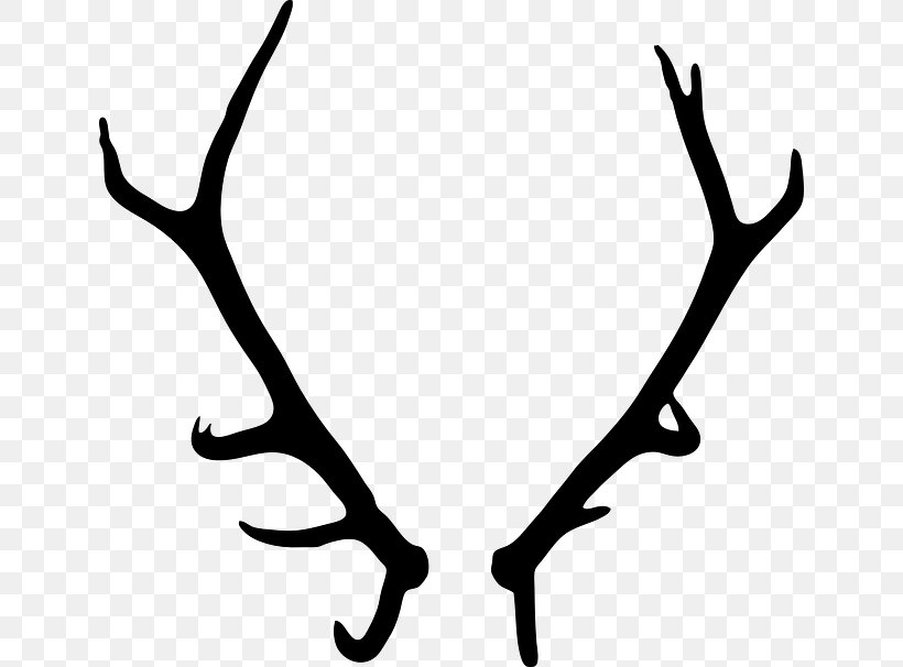 Deer Elk Antler Clip Art, PNG, 640x606px, Deer, Antler, Autocad Dxf, Black And White, Branch Download Free