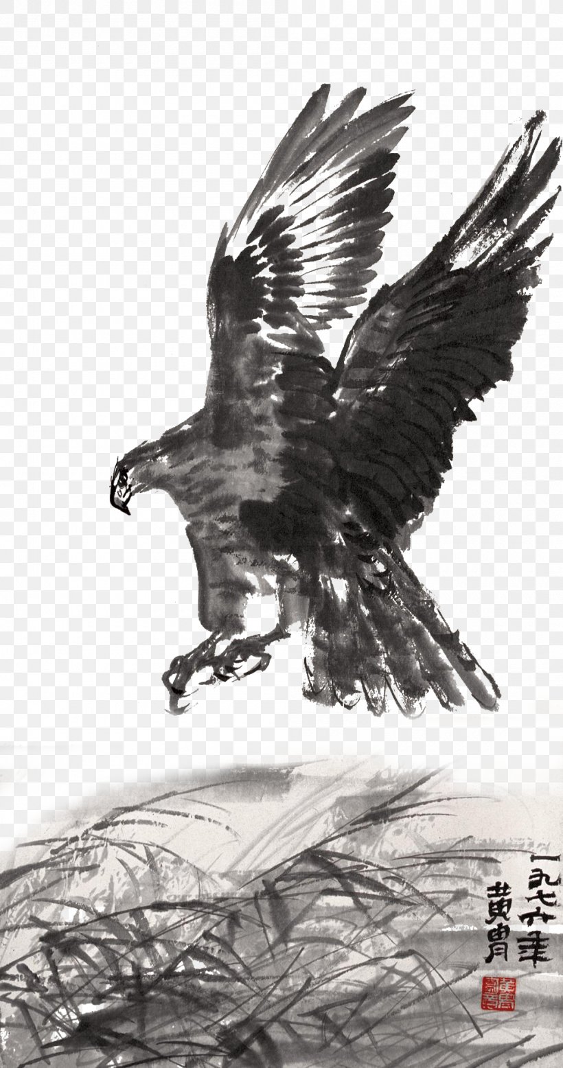 Ink Wash Painting Hawk Ink Brush, PNG, 1000x1898px, Ink Wash Painting, Bald Eagle, Beak, Bird, Bird Of Prey Download Free
