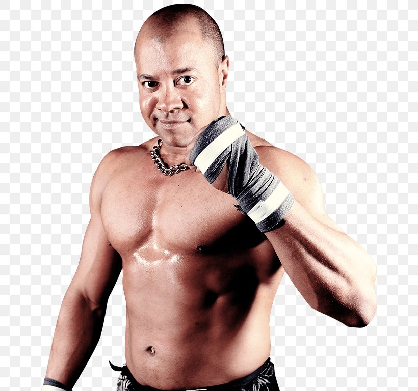 Jody Fleisch Professional Wrestling German Wrestling Federation Thumb Espectacle, PNG, 768x768px, Watercolor, Cartoon, Flower, Frame, Heart Download Free