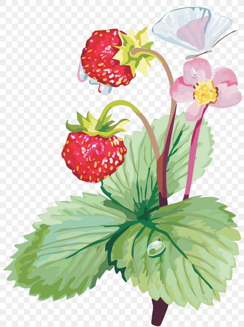 Strawberry Fruit Clip Art, PNG, 3201x4300px, Strawberry, Berry, Cut Flowers, Floral Design, Floristry Download Free