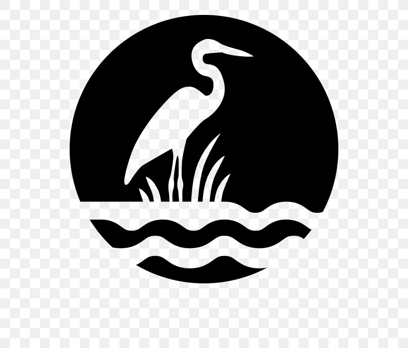 Crane Bird, PNG, 700x700px, Wetland, Beak, Bird, Black, Blackandwhite Download Free