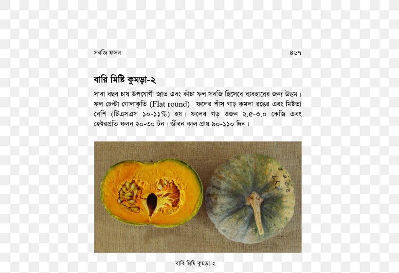 Vegetarian Cuisine Calabaza Pumpkin Winter Squash Cucurbita, PNG, 600x562px, Vegetarian Cuisine, Calabaza, Cucurbita, Food, Fruit Download Free