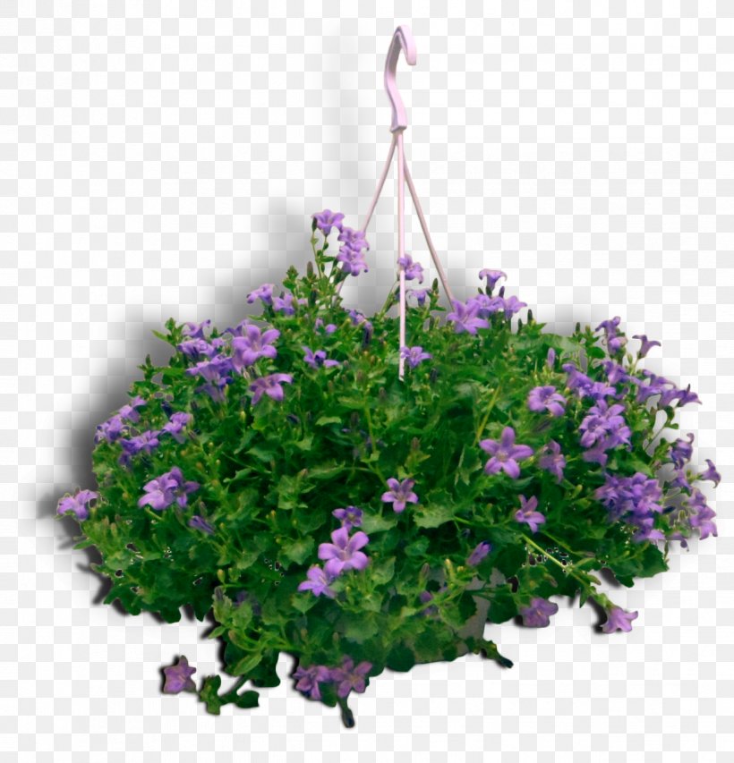 Vervain Annual Plant Herbaceous Plant Crane's-bill Lavender, PNG, 1238x1288px, Vervain, Annual Plant, Bellflower, Bellflower Family, Cranesbill Download Free