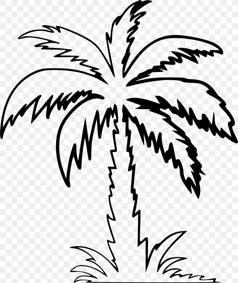 Arecaceae Drawing Tree Clip Art, PNG, 2002x2381px, Arecaceae, Arecales, Artwork, Black And White, Branch Download Free