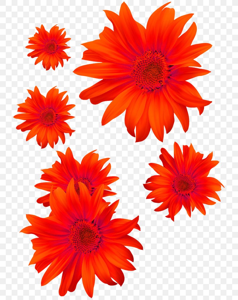 Flower Chrysanthemum Euclidean Vector, PNG, 735x1035px, Flower, Chrysanthemum, Chrysanths, Common Sunflower, Cut Flowers Download Free