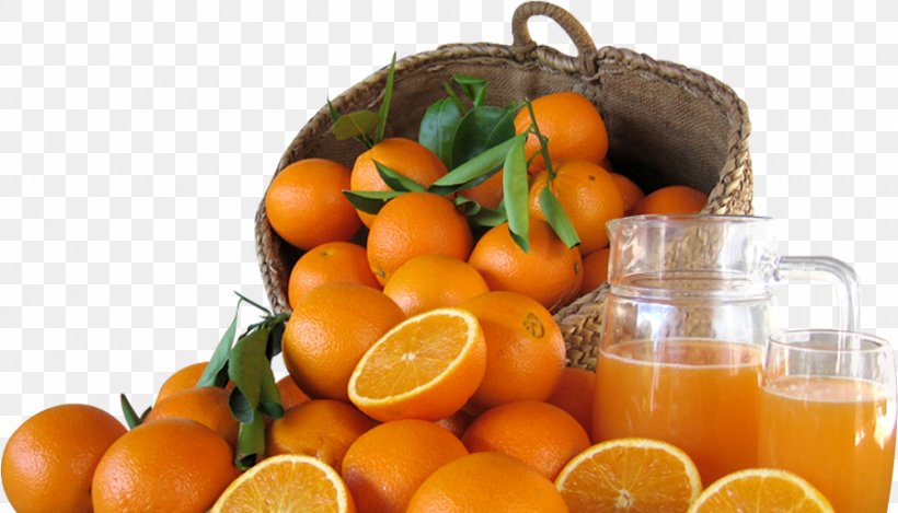 Orange Juice Fruit Mandarina LaMejorNaranja.com, PNG, 897x514px, Orange Juice, Bitter Orange, Citric Acid, Citrus, Citrus Sinensis Download Free