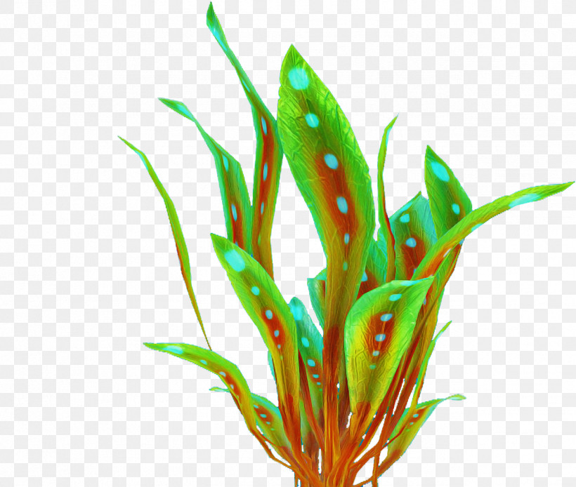 Aquarium Decor Plant Grass Leaf Terrestrial Plant, PNG, 1276x1081px, Aquarium Decor, Chlorophyta, Fish Supply, Flower, Grass Download Free