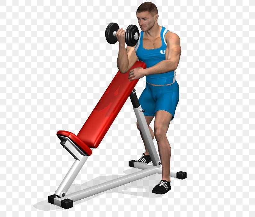 Biceps Curl Bench Press Dumbbell Exercise, PNG, 700x700px, Biceps Curl, Arm, Barbell, Bench, Bench Press Download Free