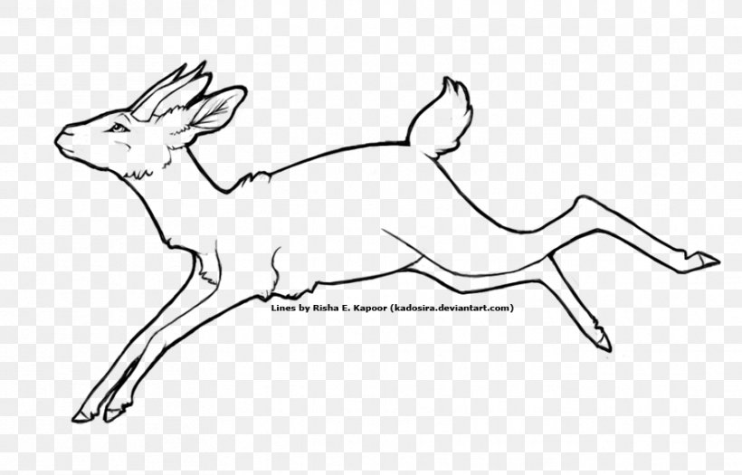 Line Art Drawing Coloring Book Sketch, PNG, 884x567px, Line Art, Adult, Animal Figure, Antelope, Antler Download Free