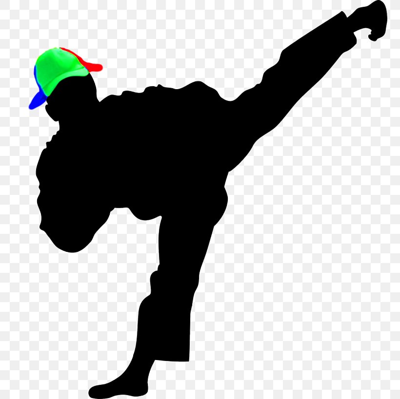 Moo Duk Kwan Taekwondo Moo Duk Kwan Taekwondo Martial Arts Tang Soo Do, PNG, 768x819px, Taekwondo, Ata Martial Arts, Black Belt, Combat Sport, Hand Download Free