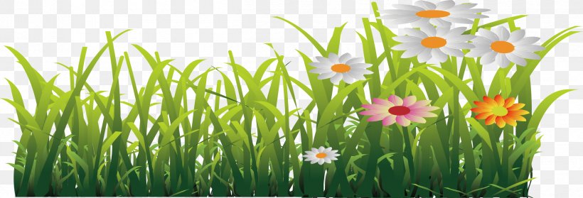 Hand-painted Flowers Ping, PNG, 2401x818px, Flower, Commodity, Designer, Flowering Plant, Grass Download Free