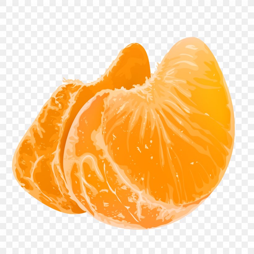 Mandarin Orange Fruit Clip Art Tangerine, PNG, 2000x2000px, Mandarin Orange, Chenpi, Citric Acid, Citrus, Clementine Download Free