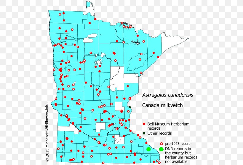 Minnesota Hemlock Swamp Milkweed Reed Canary Grass Map, PNG, 521x556px, Minnesota, Area, Diagram, Fleabane, Hemlock Download Free