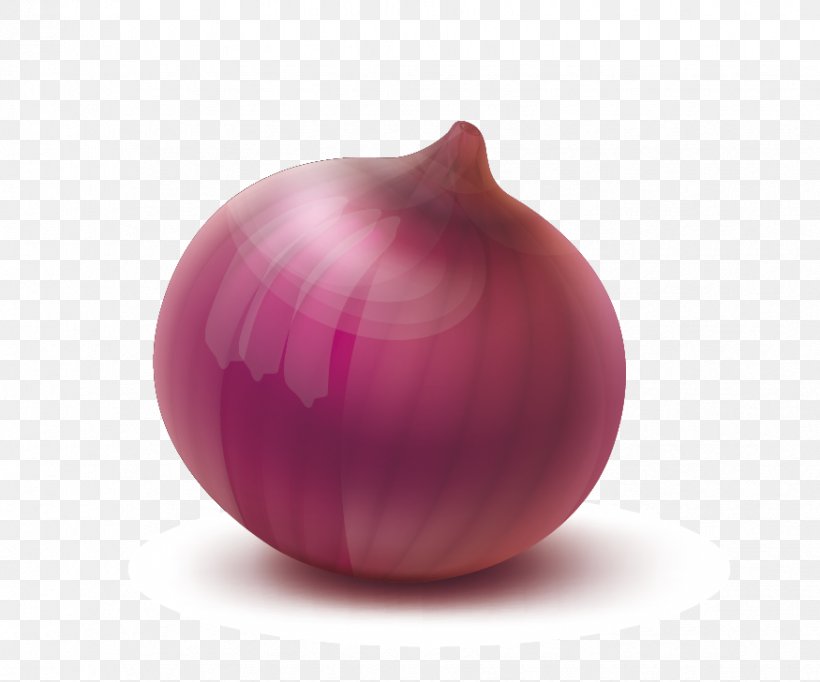 Red Onion Yellow Onion Magenta Sphere, PNG, 875x728px, Red Onion, Food, Ingredient, Magenta, Onion Download Free