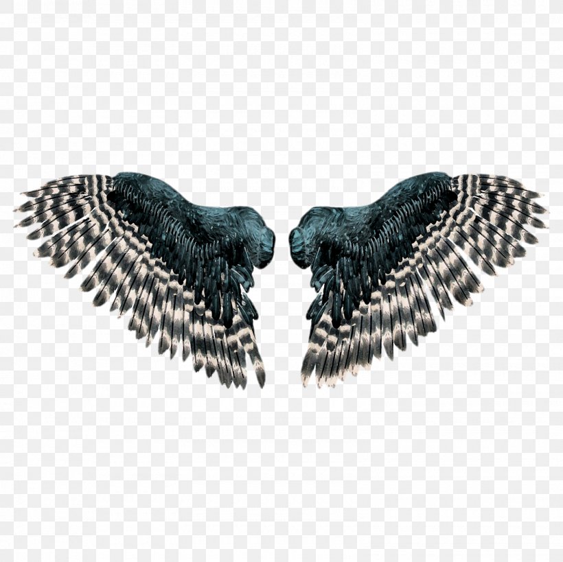 Wing Download, PNG, 1600x1600px, Wing, Butterflies And Moths, Computer Software, Eagle, Jewellery Download Free
