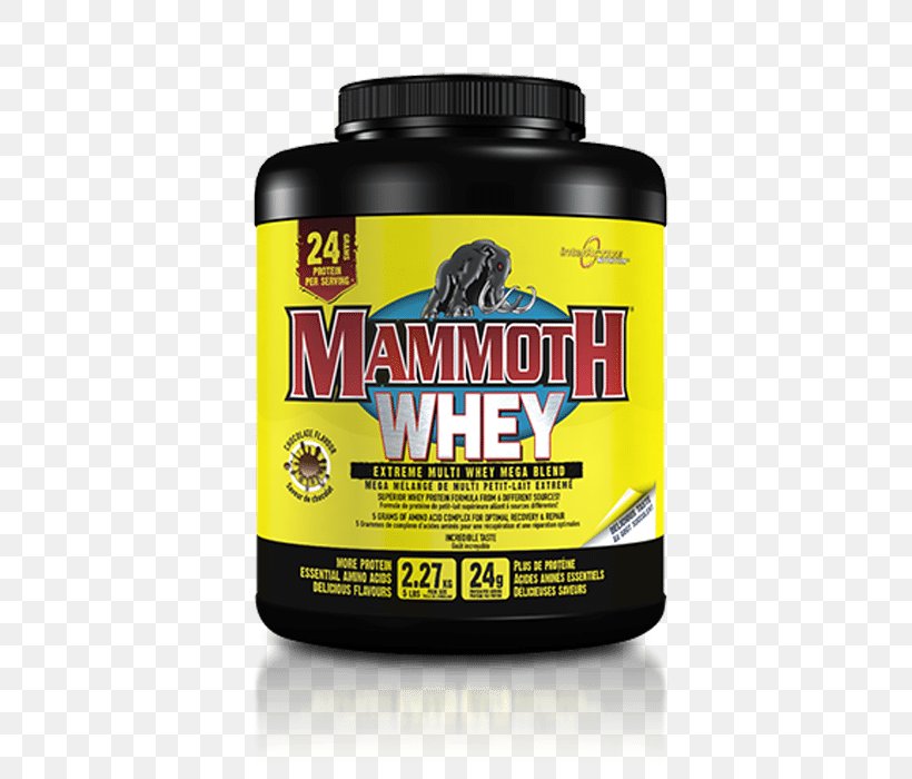 Dietary Supplement Bodybuilding Supplement Mammoth Mass 10lb Chocolate Interactive Mammoth Mass 6.8kg Gainer, PNG, 700x700px, Dietary Supplement, Bodybuilding Supplement, Brand, Carbohydrate, Dietetica Download Free