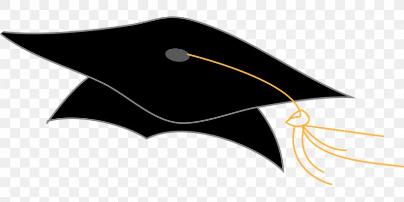 Graduation Ceremony Square Academic Cap Clip Art, PNG, 960x480px, Graduation Ceremony, Cap, Diploma, Drawing, Hat Download Free