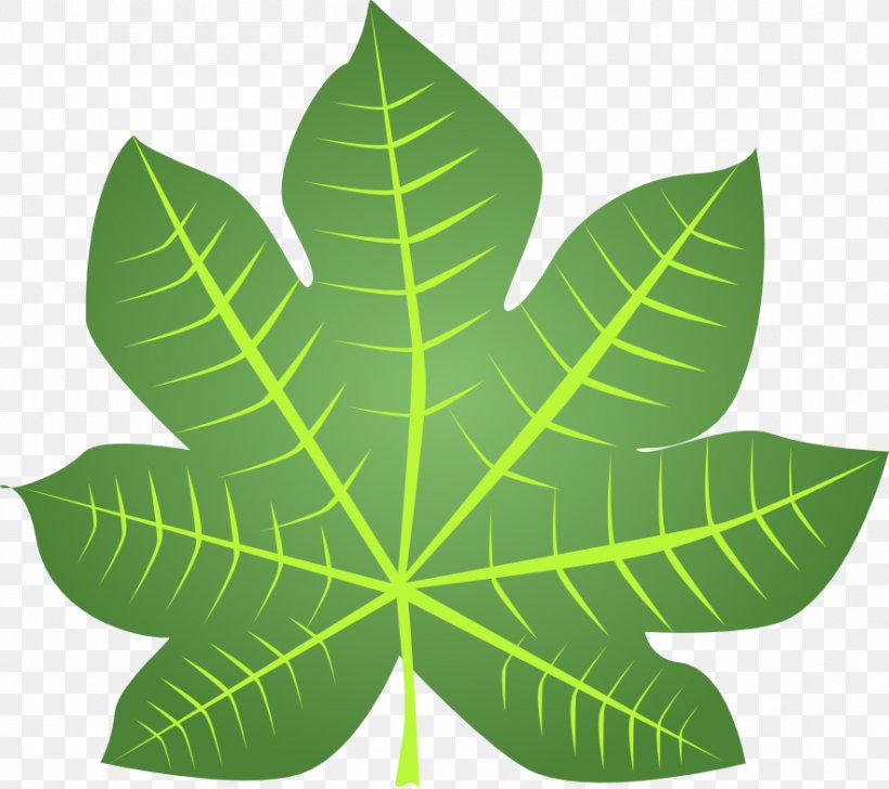 Leaf Photosynthesis Blog Clip Art, PNG, 883x784px, Leaf, Bawang, Blog, Issuu Inc, Photosynthesis Download Free