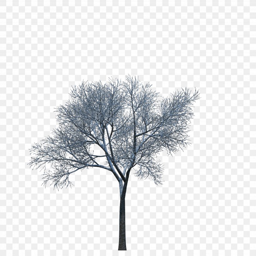Plant Tree Download 3D Computer Graphics, PNG, 3500x3500px, 3d Computer Graphics, Plant, Autodesk 3ds Max, Black And White, Branch Download Free