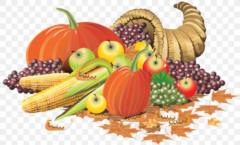 Thanksgiving Cornucopia Holiday Clip Art, PNG, 840x508px, Thanksgiving, Calabaza, Cornucopia, Cucurbita, Diet Food Download Free
