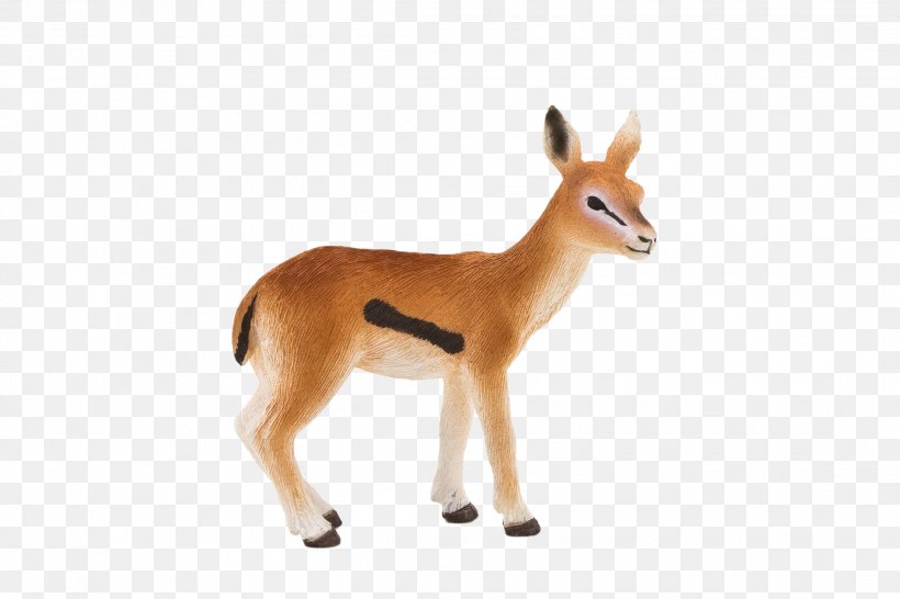 Antelope Dorcas Gazelle Gemsbok Thomson's Gazelle Toy, PNG, 2219x1480px, Antelope, Animal, Animal Figure, Animal Sauvage, Deer Download Free